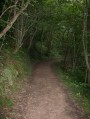 Le sentier de la combe de l'Epervier