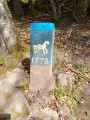 Le sentier des chameaux