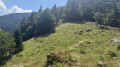 Le sentier des Roches