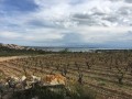 Le Sentier du Berger à Leucate