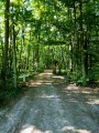Le sentier du bois de Serre Le sentier du bois de Serre