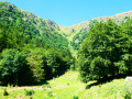 Le Hohneck et le Frankenthal