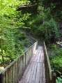 Le sentier du Martin-Pêcheur Le sentier du Martin-Pêcheur