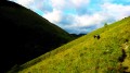 Le sentier du Pladi jusqu'au col du Prat dou Rey