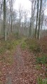 Le sentier du retour