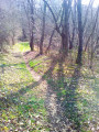 Le sentier en sous-bois Le sentier en sous-bois