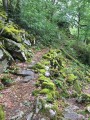 Au-dessus des Gorges de la Dordogne à Nougein