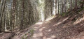 Le sentier juste après Fau Laurent