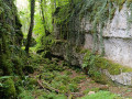 Le sentier pédagogique