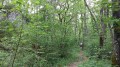 Le sentier qui longe le château