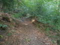 Le sentier "schleif" Le sentier "schleif"