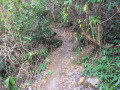 Le sentier