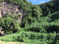Le sentier