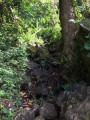 Le sentier