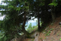 Le sentier
