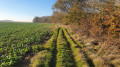 Le chemin