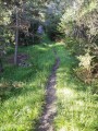 Le sentier