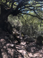 Le sentier