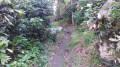 Le sentier