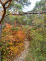 Le sentier