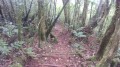 Le sentier