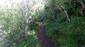 Le sentier Le sentier