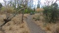 Le sentier