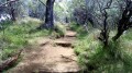 Le sentier