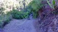 Le sentier