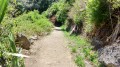 Le sentier