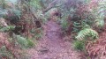 Le sentier