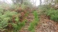Le sentier
