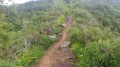 Le sentier