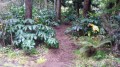 Le sentier