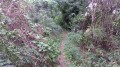 Le sentier