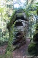 le sentier