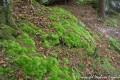 Les Maisons Troglodytes - Rocher du Fantôme au départ d'Haselbourg