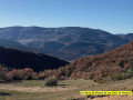 Le serre de Rioms