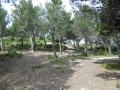 L'Oppidum des Bringasses