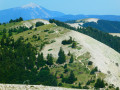 Entre les sommets de Lure et de l'Homme
