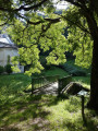 Le Sophora et son pont