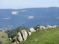 Le Spitzkoepfe