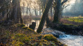 Entre Etaules et le Val Suzon Entre Etaules et le Val Suzon