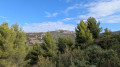 Le Taoum&eacute;