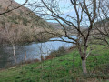 Le Tarn Le Tarn