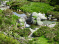 Le Tarn