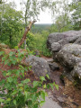 Grand tour de Milly-la-Forêt