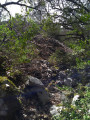 le terril