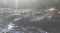 Le Thaurion à proximité de la chute du poirier Le Thaurion à proximité de la chute du poirier