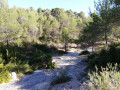 Le Torrent Le Torrent